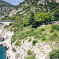 17 -- chemin d'arles -- ( iii )