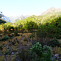 P1090234