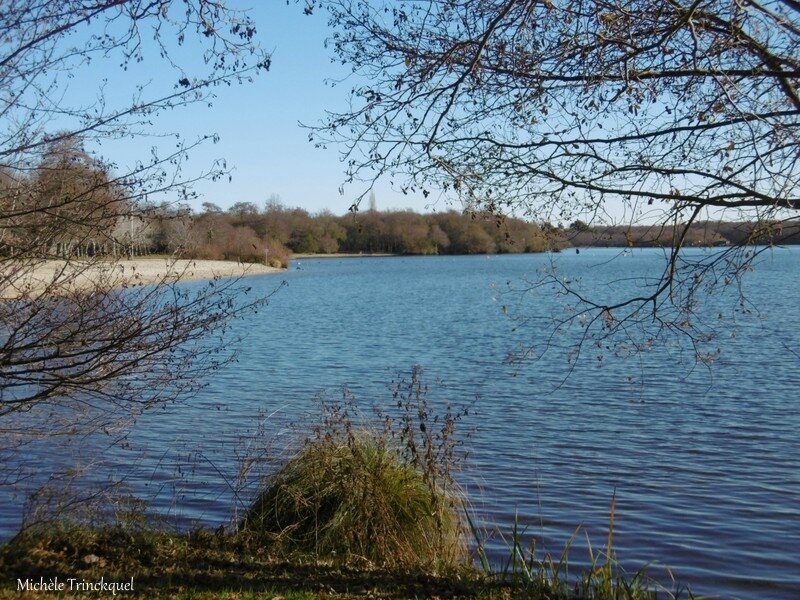 La Plage De Vielle Saint Girons 40 Le 4 Décembre