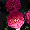 P1060297