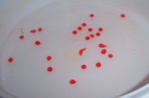 billes_de_vanille2