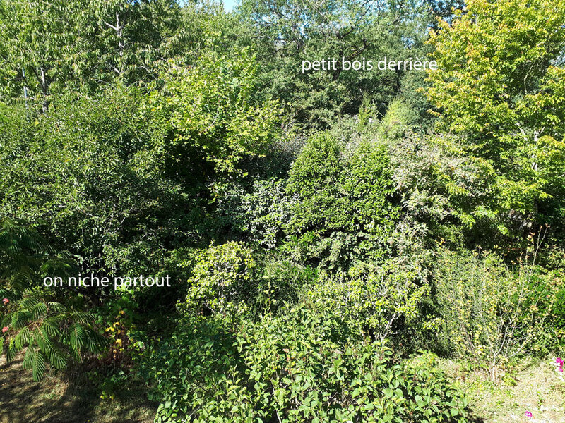 jardin-03