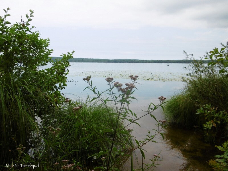 1-Balade au Lac 050819