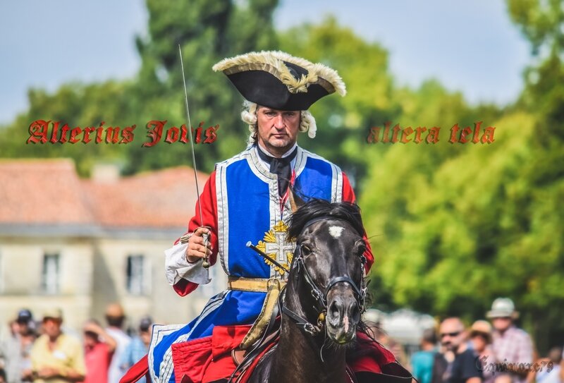 Alterius Jovis altera tela Rochefort - Mousquetaires 2 cie - Richelieu - ecuyers histoire