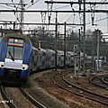 IMG_4439
