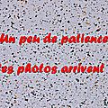 Z-9832 Hazebrouck Ville Ouverte 21 sept. 2014