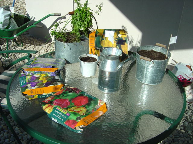 DSC01559