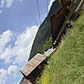 _DSC0490