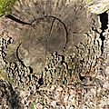 P1120042