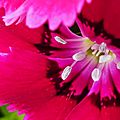 Tests photos tz80