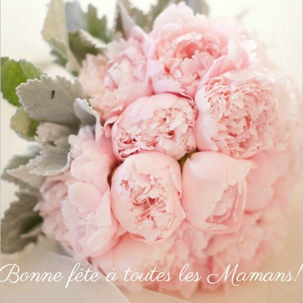 Bonne Fete Maman 2 Clous 1 Pinceau