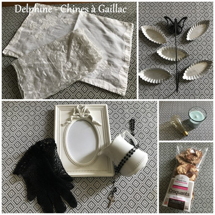 B3 - Delphine