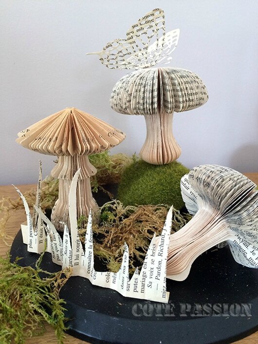 Champignon1# Book cut #Côté Passion