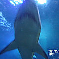 2021-05-20 11-39-34 - 104_1878