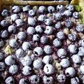 Tarte pistache/griottes