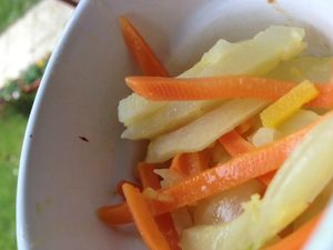 fenouil carotte