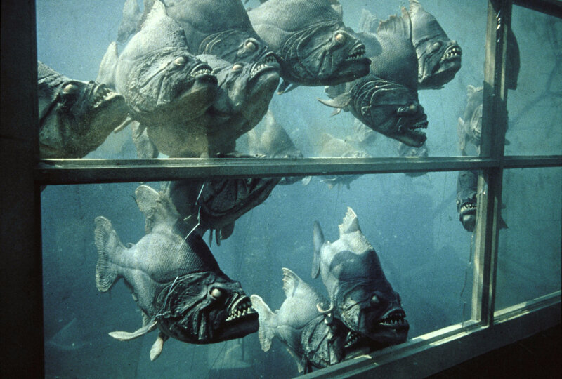 piranhas-02