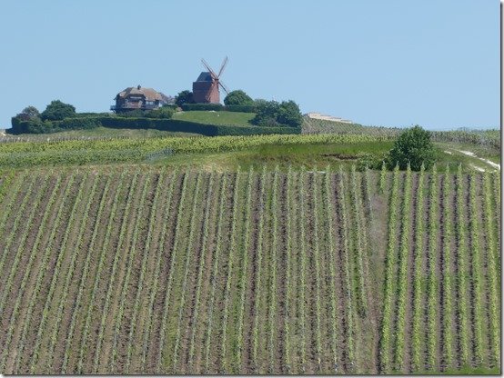 Moulin de Verzenay (Marne) (7)