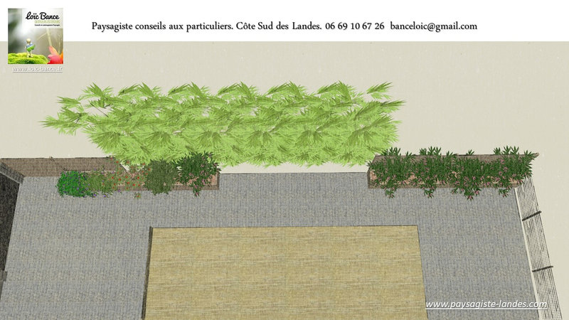 Paysagiste-Saint-Martin-de-Seignanx-Paysagiste-Landes-avril-2022-45