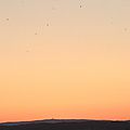 Un été aigre-doux, coucher de soleil (fin)