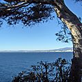 01/2013 première randonnée de l'année 2013 pour les petits et les grands autour de la presqu'île de saint jean cap ferrat 