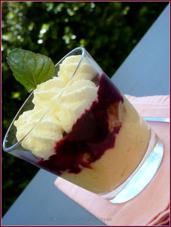 trifles_p_tissier_aux_fruits_rouges__33_