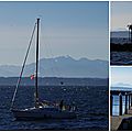 Golden Gardens Marina