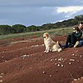 Photos JMP©Koufra 12 - Lac Salagou - 11032018 - 088