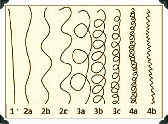 hair type_2