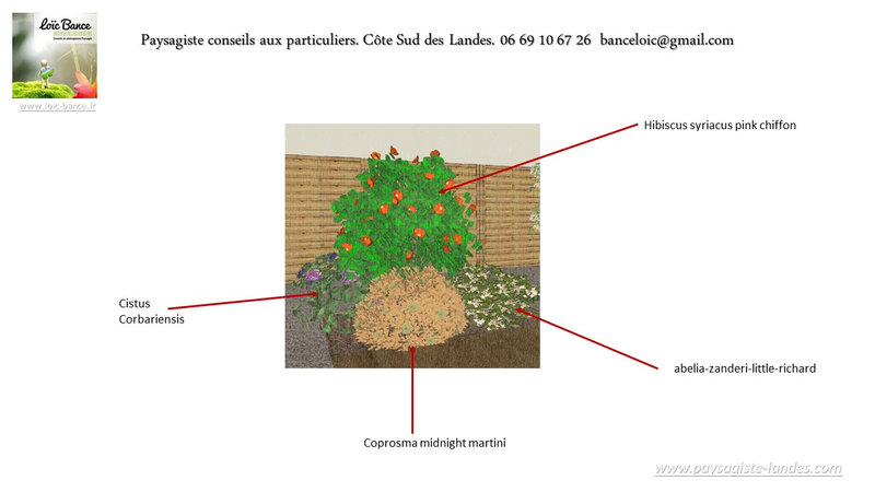 Paysagiste-Saint-Martin-de-Seignanx-Paysagiste-Landes-avril-2022-71