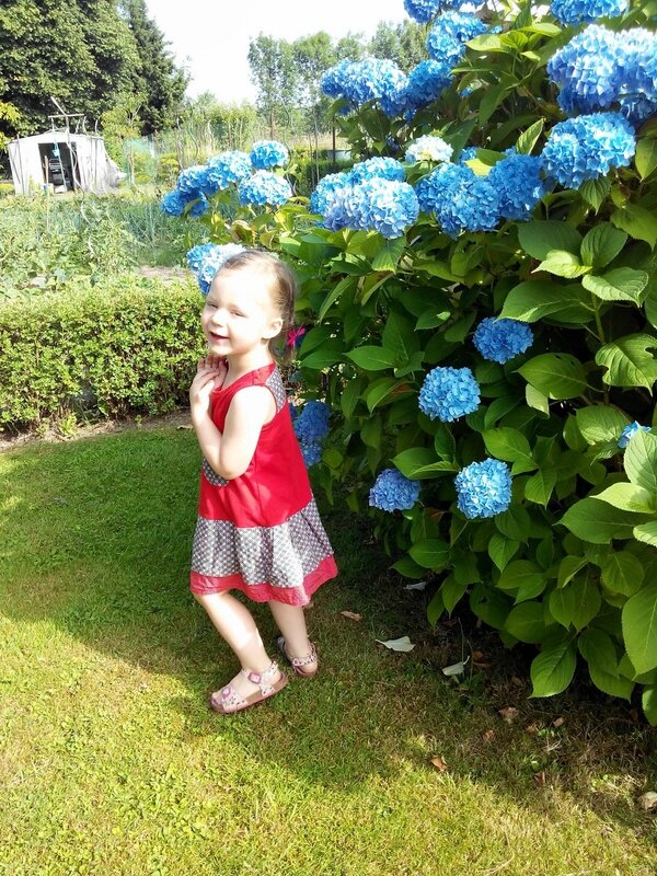 IMG_20150706_100723 (Copier)
