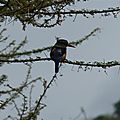 P1130892