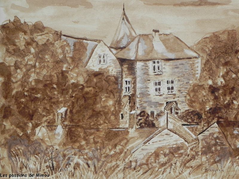 Château de Chanzé au brou de noix