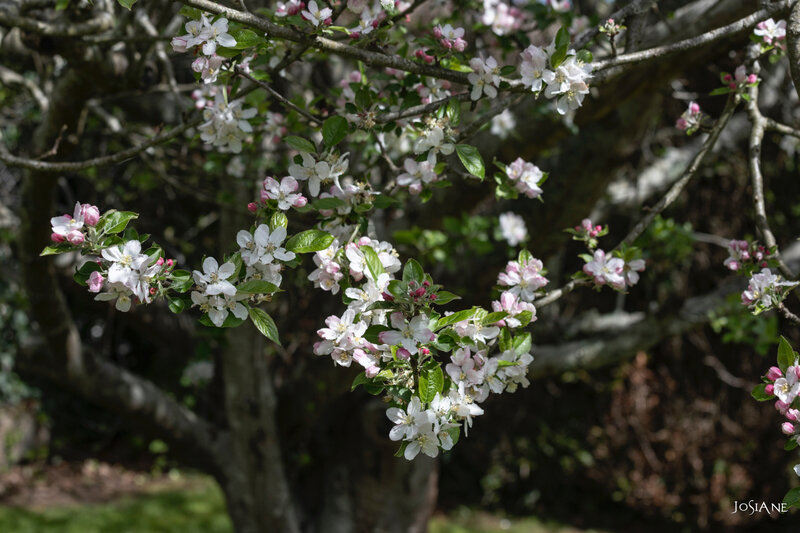 09042019-_MG_5192