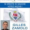 Les affiches des candidats du parti niçois