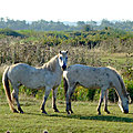 20072021 (7)