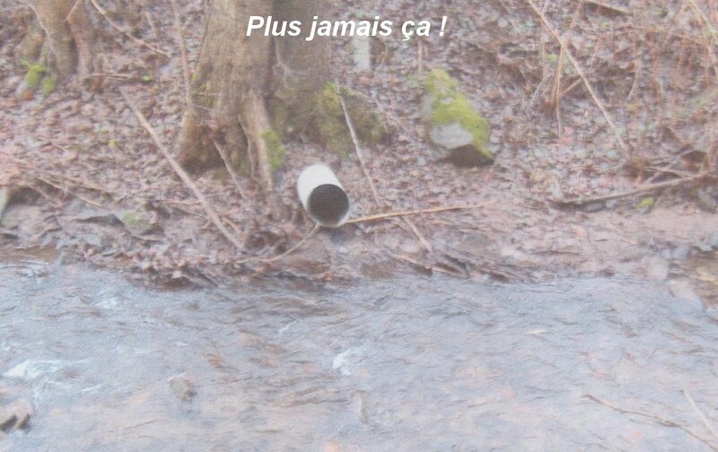 poisson3