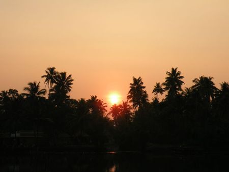 Mysore - Calicut - arrivée Cochin 800