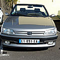 P1300255 (Copier)