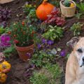 2010-10-22_173921