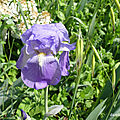 P1000628 - Copie