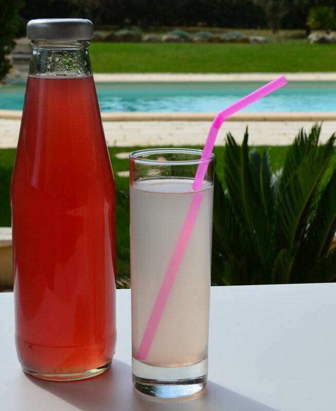 Recette_sirop_de_grenadine_par_La_chouette_bricole__4_
