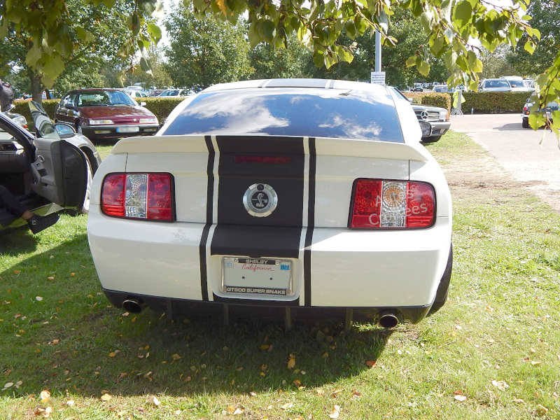 ShelbySuperSnakeGT500ar