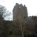 Blarney Castle