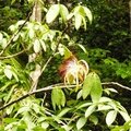 P1010575