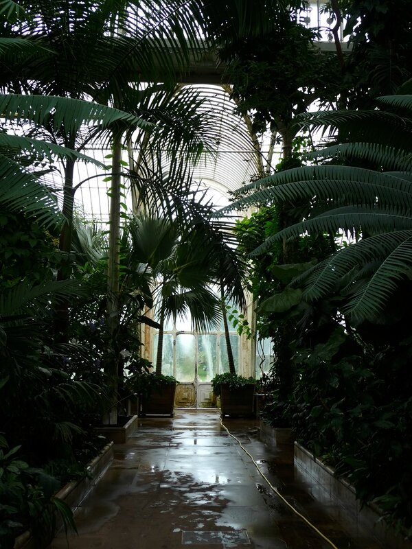 Palm House à Kew