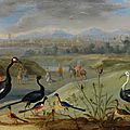 Jan van kessel (1626-1679), exotic birds in far eastern landscape1