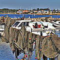 IMG_7206