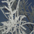 Hiver Savoyard