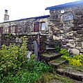 DSC01196